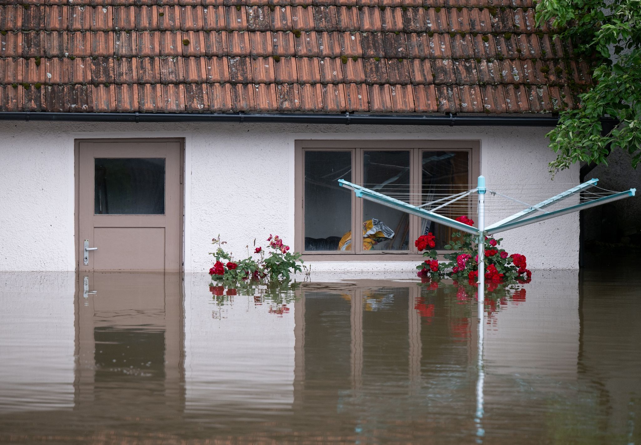 Hochwasser: 5 Dinge, die Sie jetzt wissen müssen