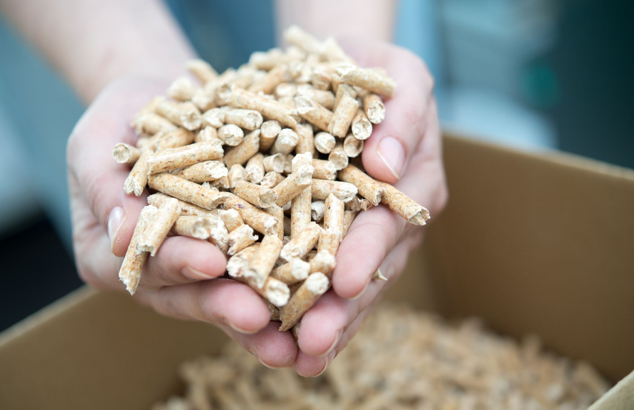 Holzpellets online kaufen – Tipps für die Bestellung