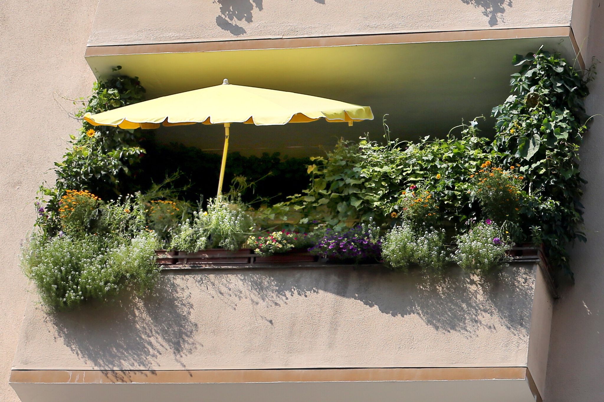 Wie der kleinste Balkon zur grünen Oase wird