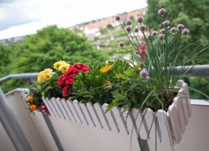 Blumenkästen nur noch innen: Kann das vorgeschrieben werden?